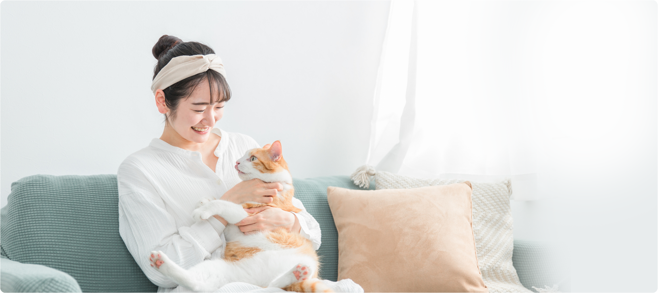 ペット,動物,犬,猫